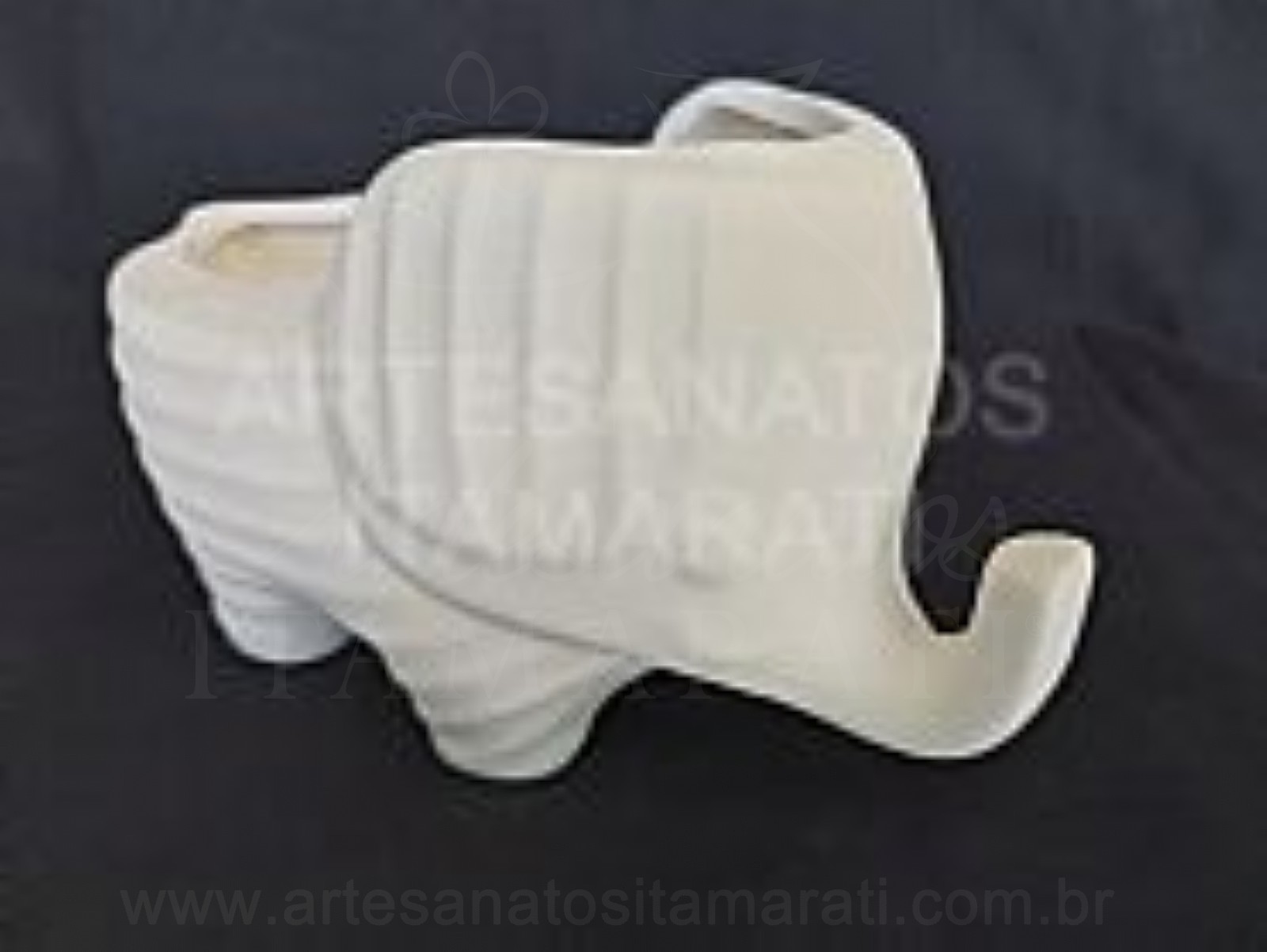 Elefante Suculenta